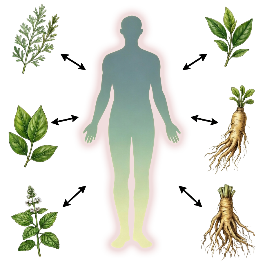 General Health: Needs Support