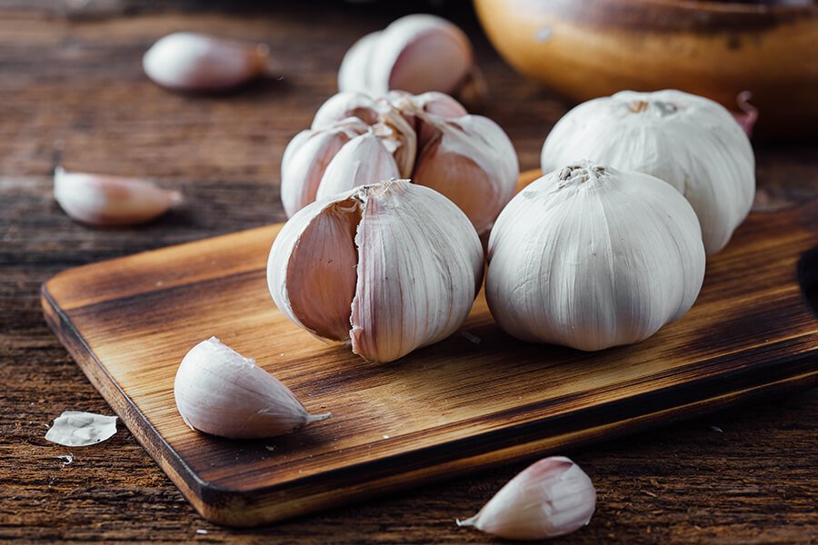 Garlic